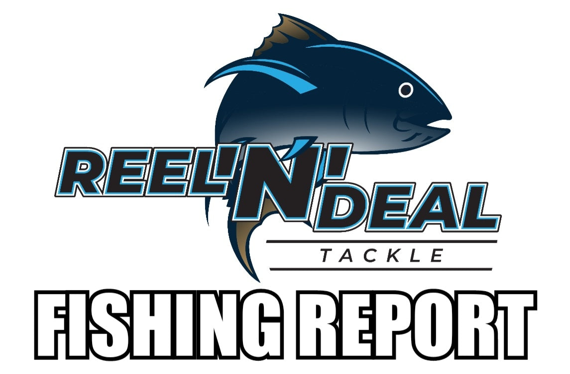 Reel N Deal Tackle Fishing Report - October 2023 – Reel 'n' Deal Tackle